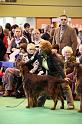 Crufts2010 1749